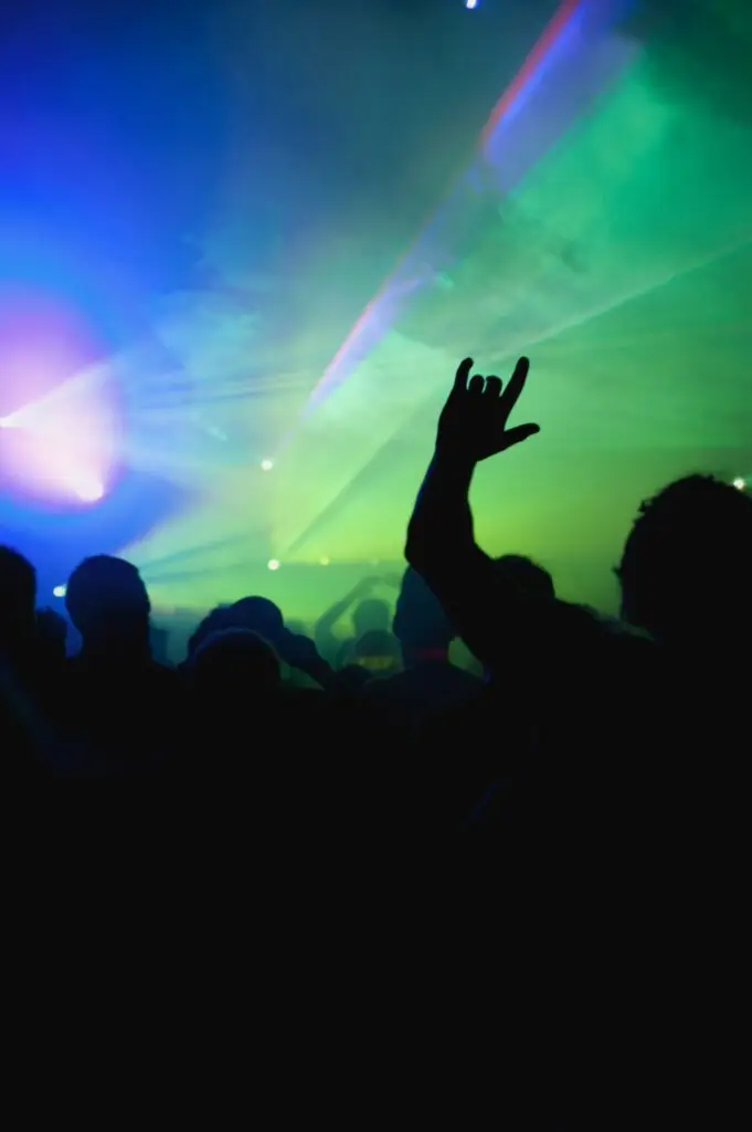 Crowd cheering during concert